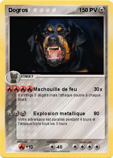 Pokemon Dogros