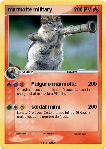 Pokemon marmotte military