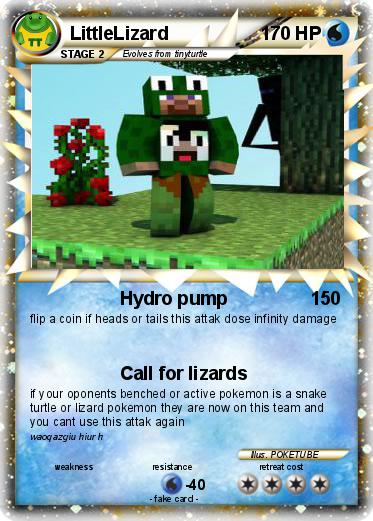 Pokemon LittleLizard