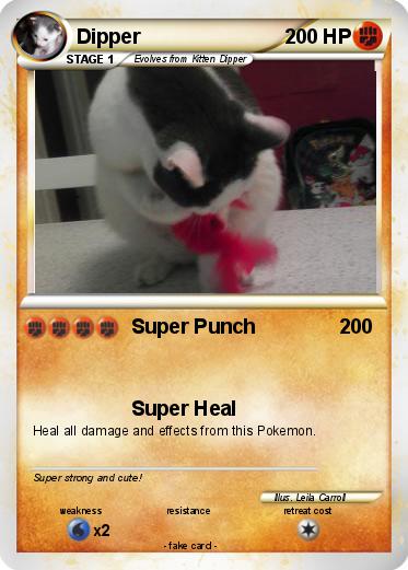 Pokemon Dipper