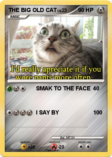 Pokemon THE BIG OLD CAT