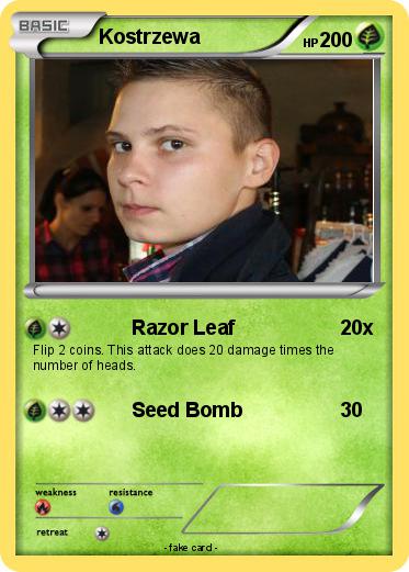 Pokemon Kostrzewa