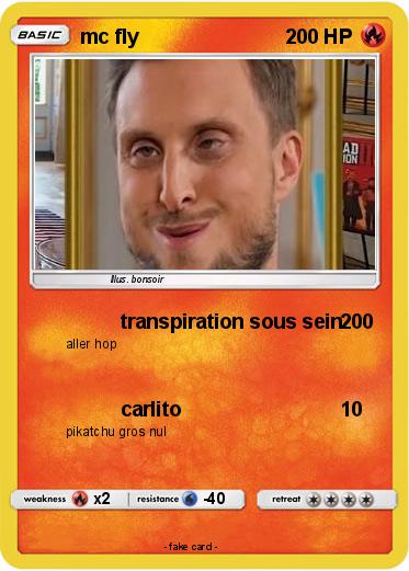 Pokemon mc fly