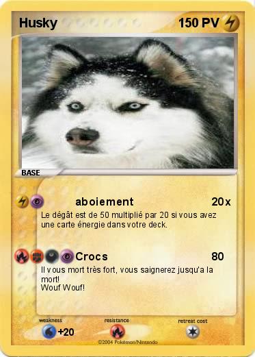 Pokemon Husky