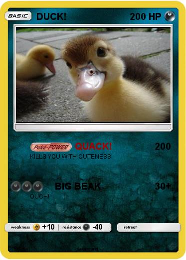 Pokemon DUCK!