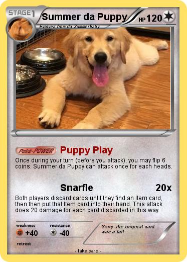 Pokemon Summer da Puppy