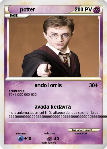 Pokemon potter