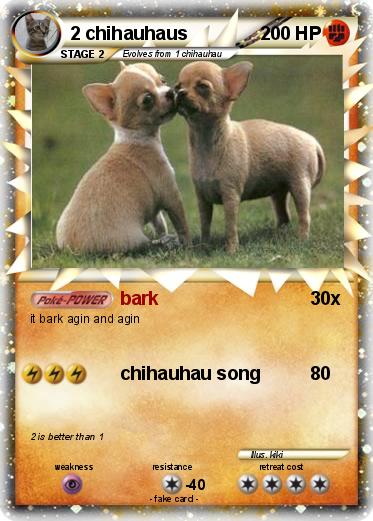 Pokemon 2 chihauhaus