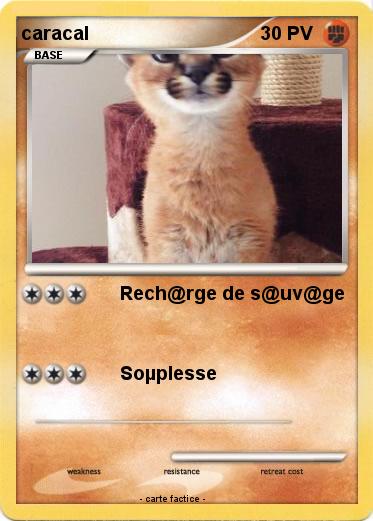 Pokemon caracal
