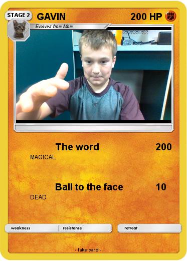 Pokemon GAVIN