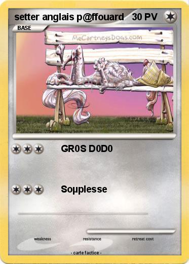 Pokemon setter anglais p@ffouard