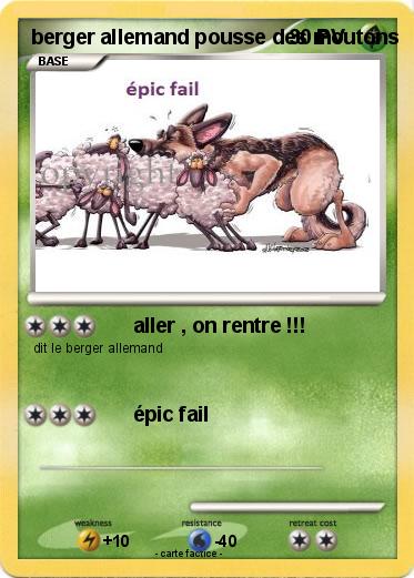 Pokemon berger allemand pousse des moutons