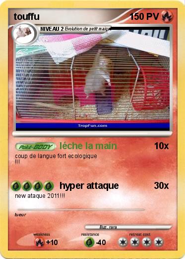 Pokemon touffu
