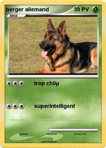 Pokemon berger allemand