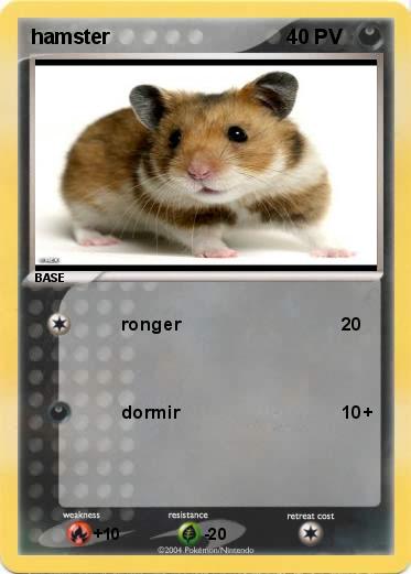 Pokemon hamster