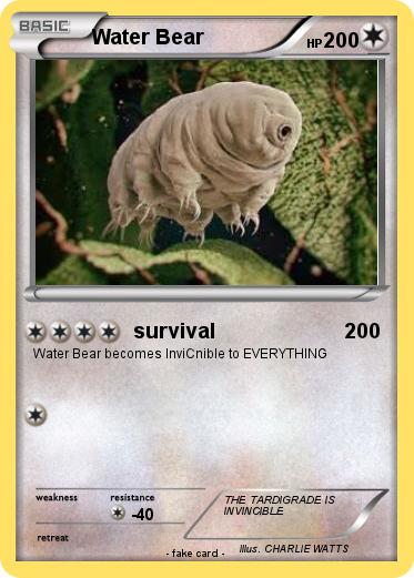 Pokemon Water Bear