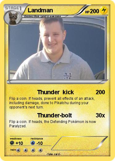 Pokemon Landman