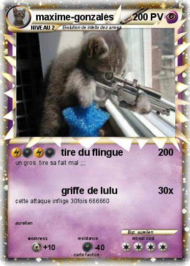 Pokemon maxime-gonzales