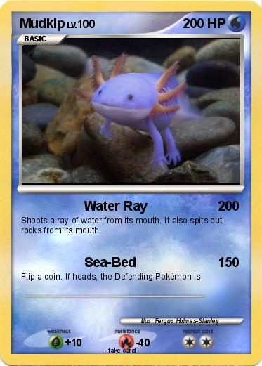 Pokemon Mudkip