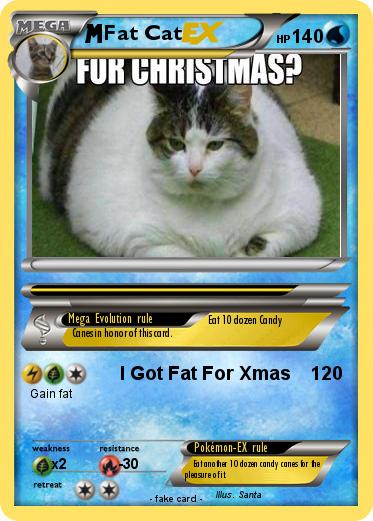 Pokemon Fat Cat