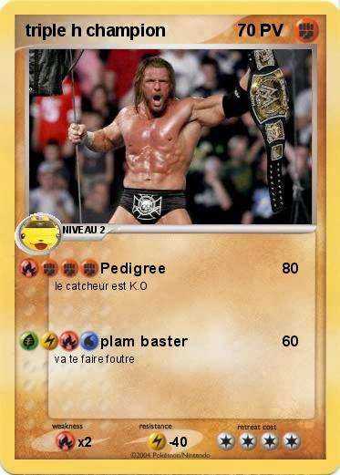 Pokemon triple h champion