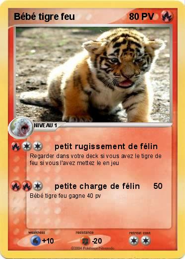 Pokemon Bébé tigre feu