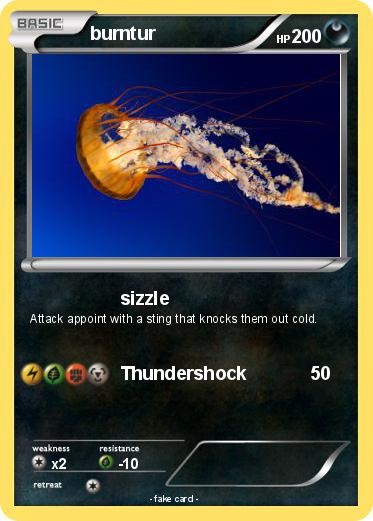 Pokemon burntur