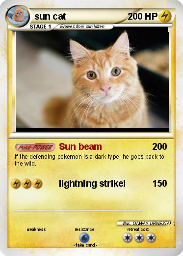 Pokemon sun cat