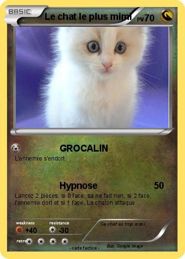 Pokemon Le chat le plus mimi