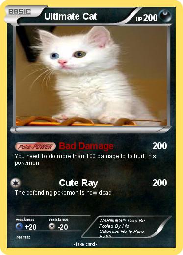 Pokemon Ultimate Cat