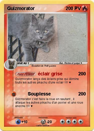 Pokemon Guizmorator