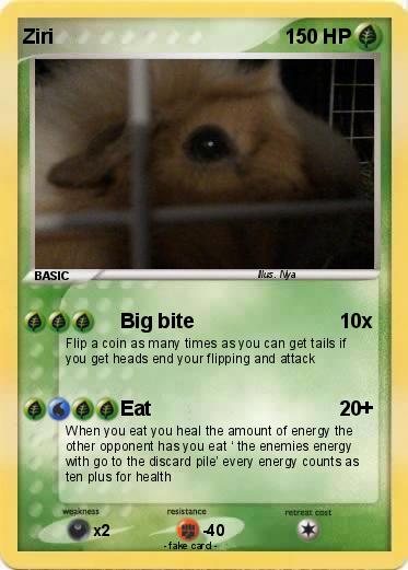 Pokemon Ziri