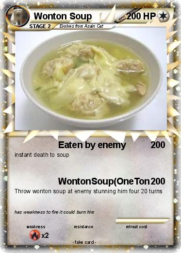 Pokemon Wonton Soup