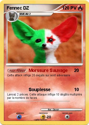 Pokemon Fennec DZ