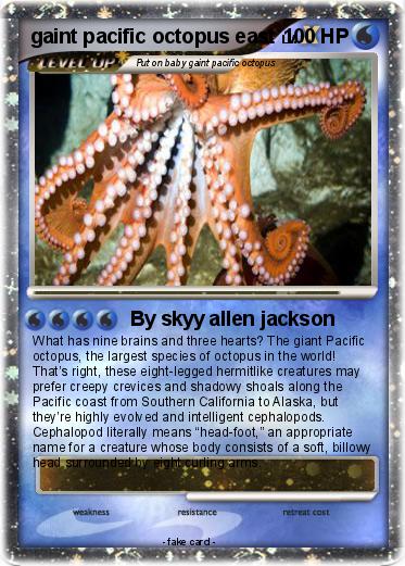 Pokemon gaint pacific octopus east