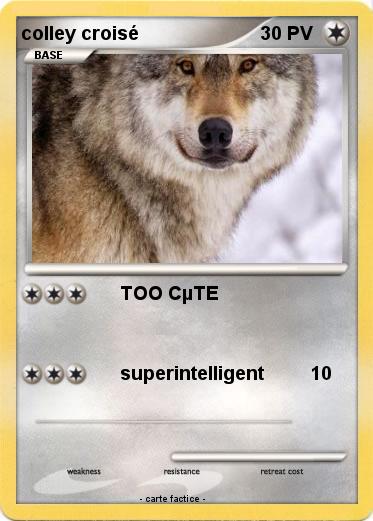 Pokemon colley croisé