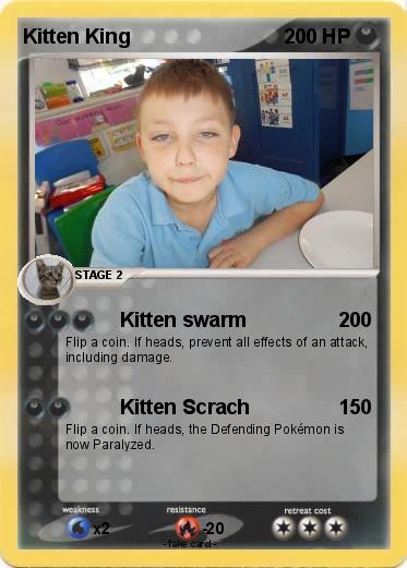Pokemon Kitten King
