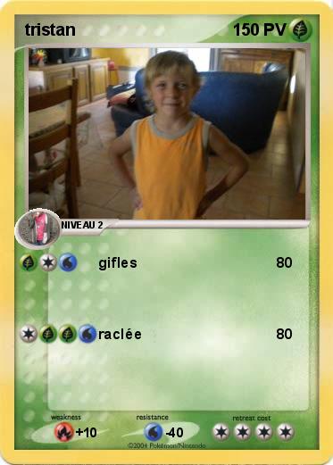 Pokemon tristan
