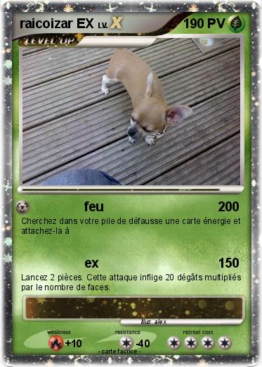Pokemon raicoizar EX