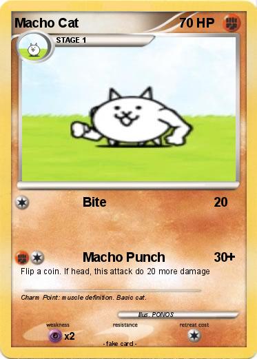 Pokemon Macho Cat