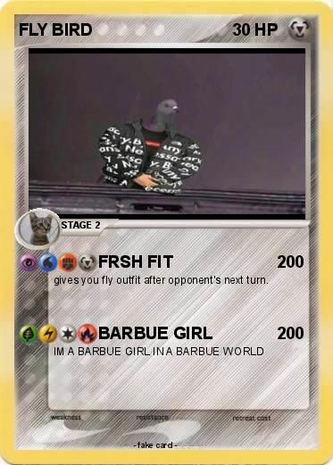 Pokemon FLY BIRD