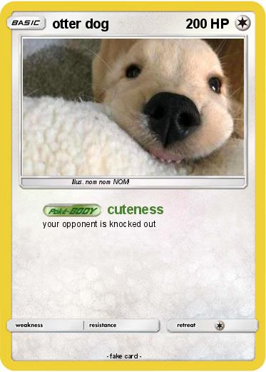 Pokemon otter dog