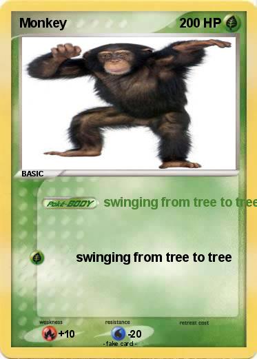 Pokemon Monkey
