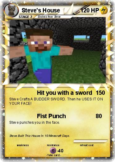 Pokemon Steve's House