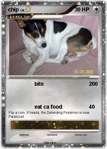 Pokemon chip
