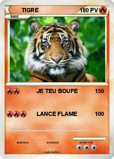 Pokemon TIGRE