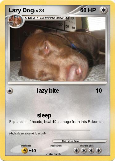 Pokemon Lazy Dog
