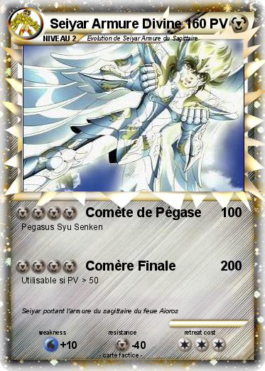 Pokemon Seiyar Armure Divine