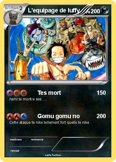 Pokemon L'equipage de luffy