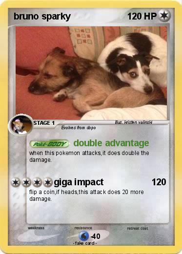 Pokemon bruno sparky